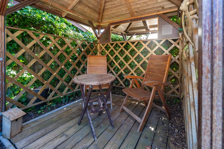 Foto 35 van Koekoeksbloem 3