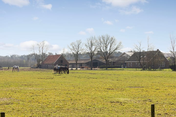 Foto 3 van Eibergsestraat 213