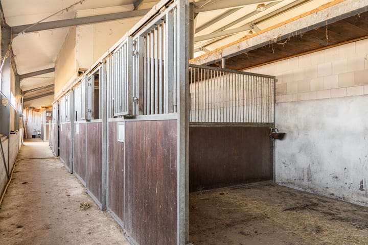 Foto 14 van Eibergsestraat 213