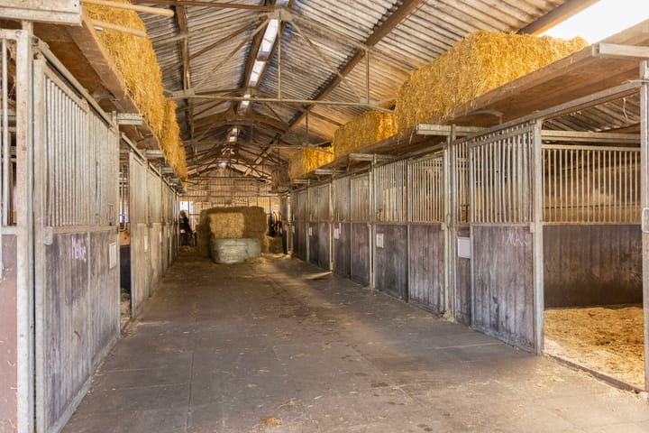 Foto 20 van Eibergsestraat 213