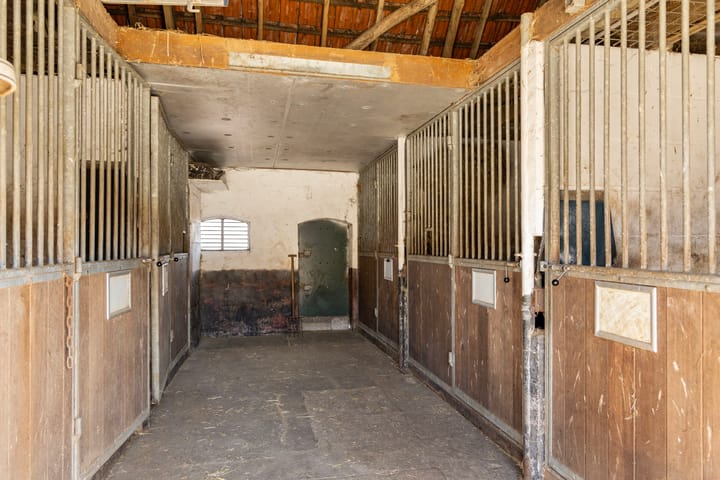 Foto 22 van Eibergsestraat 213