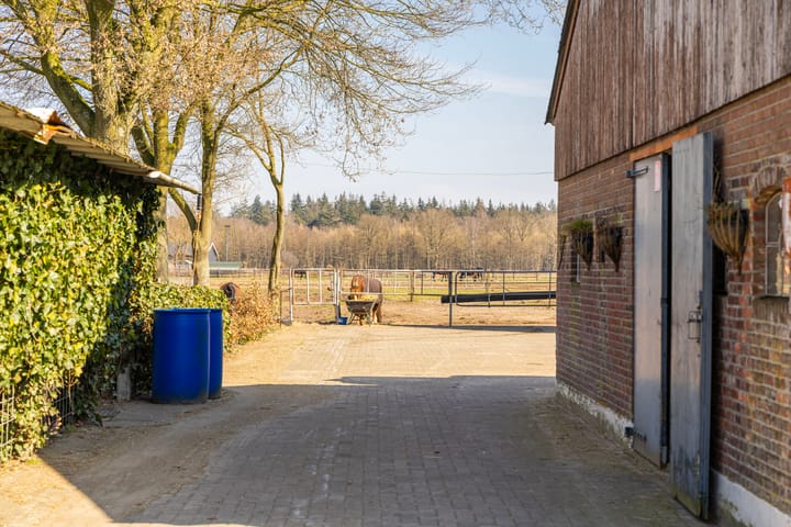 Foto 23 van Eibergsestraat 213