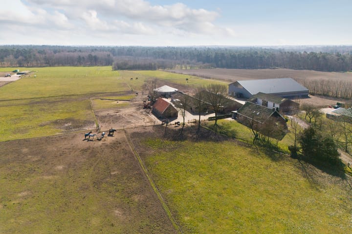 Foto 24 van Eibergsestraat 213