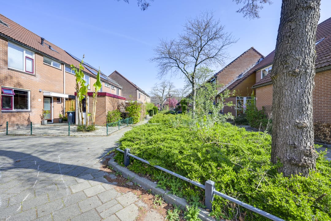 Foto 83 van Schaapweide 5