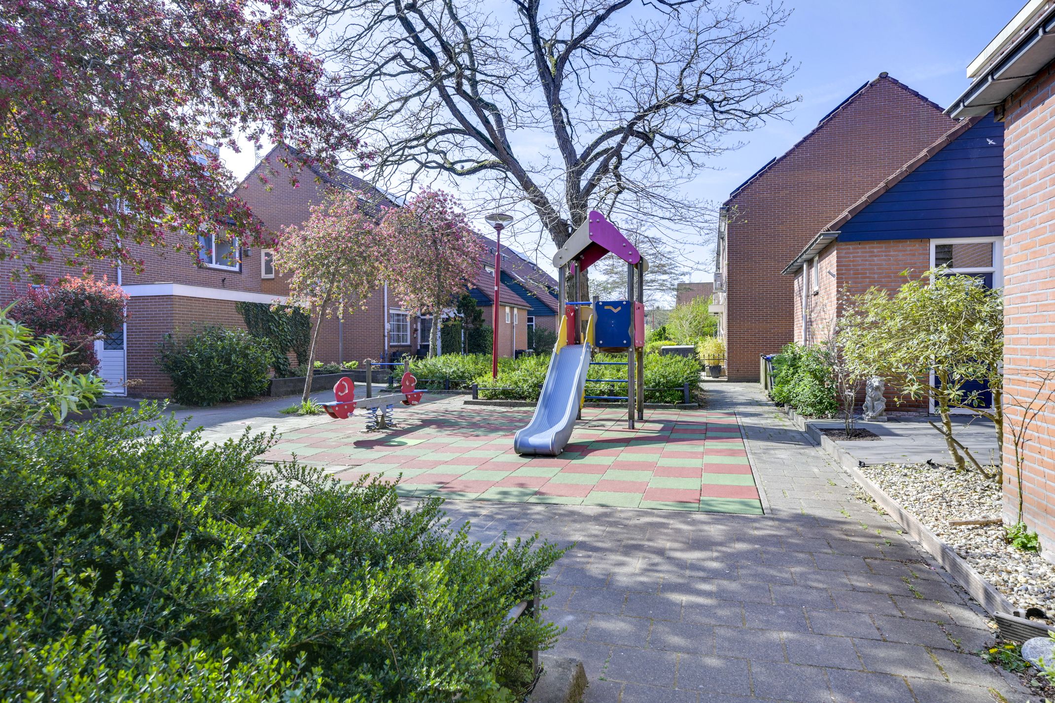 Foto 84 van Schaapweide 5