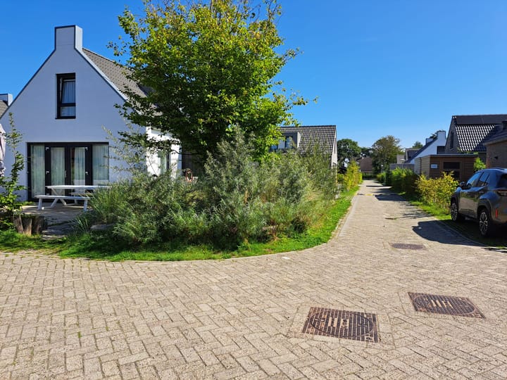 Photo 3 of De Wielen 55