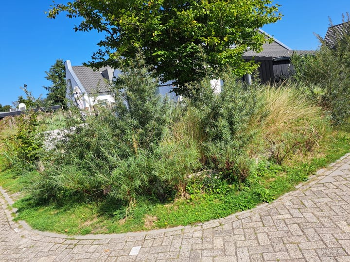 Photo 5 of De Wielen 55