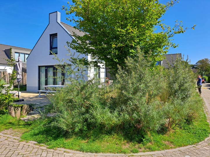 Photo 4 of De Wielen 55