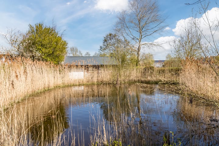 Photo 51 of Roodeswerf 11