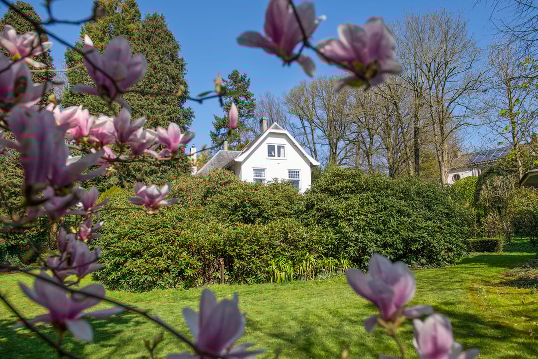 Foto 61 van Fangmanweg 43