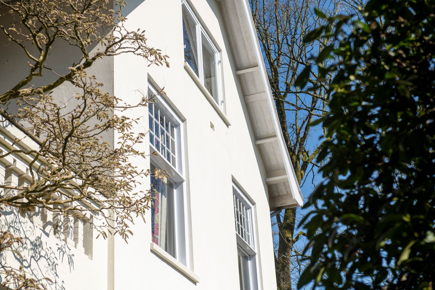 Foto 64 van Fangmanweg 43