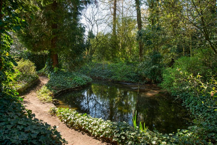 Photo 66 of Fangmanweg 43