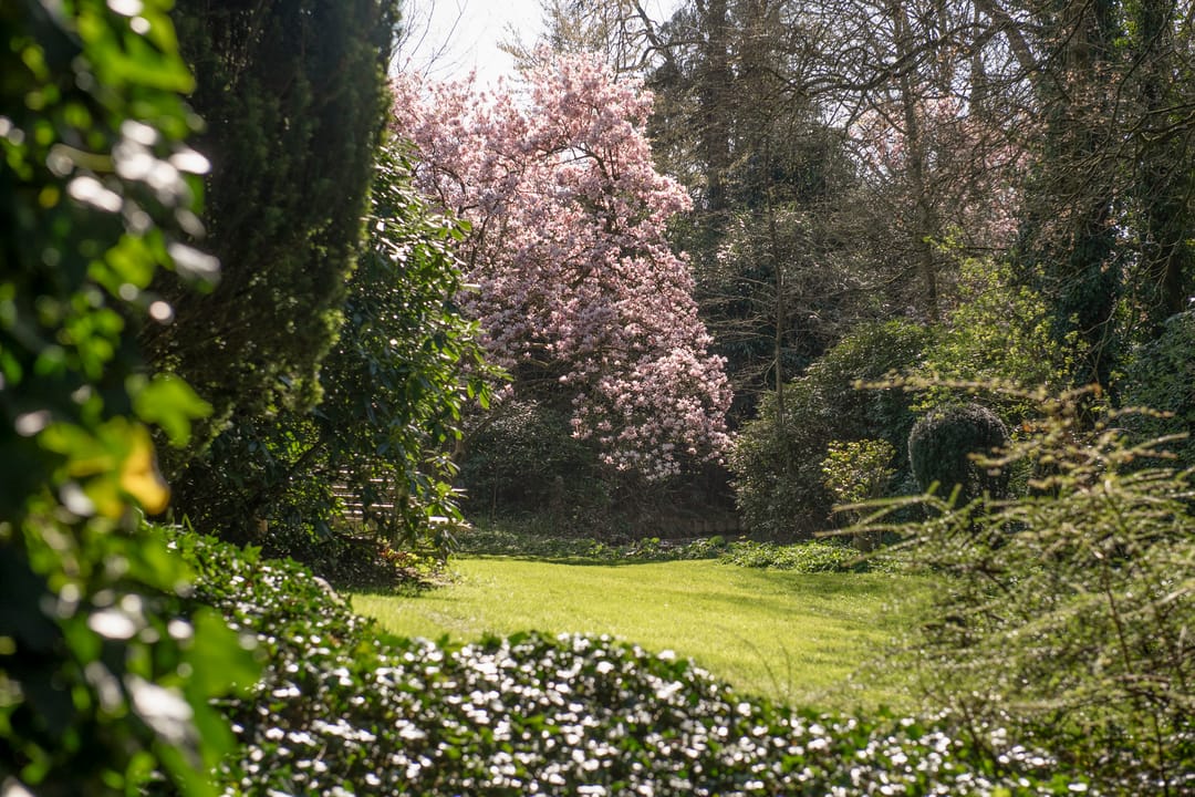 Foto 68 van Fangmanweg 43