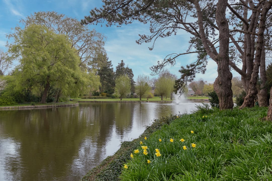 Foto 31 van Pieter Florisstraat 16