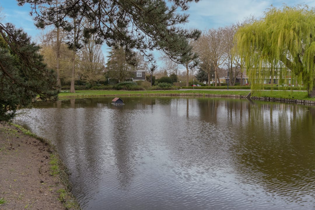 Foto 32 van Pieter Florisstraat 16