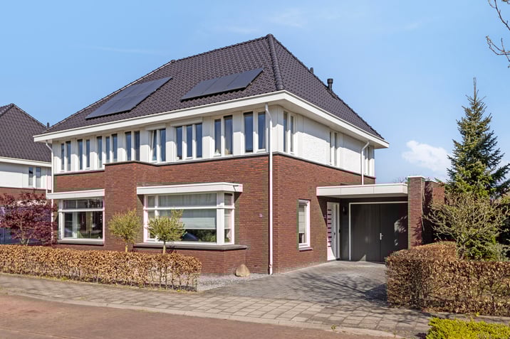 undefined main image