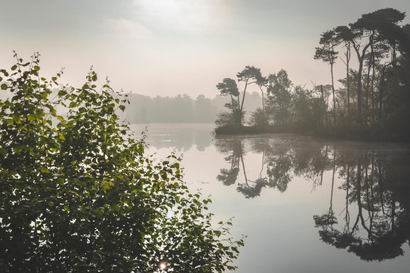 Photo 10 of Gemullehoekenweg 57