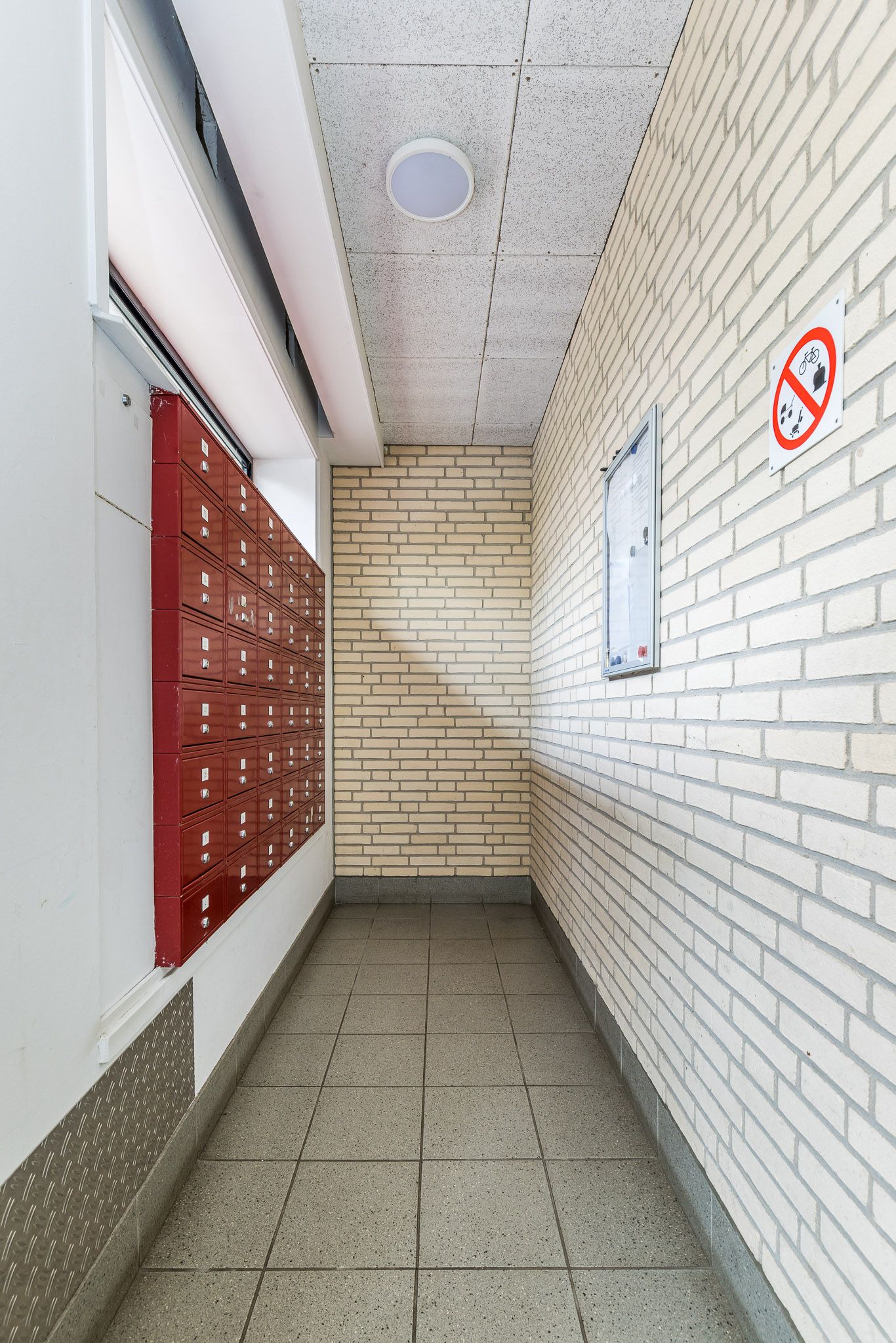 Foto 21 van Ruivenplantsoen 16