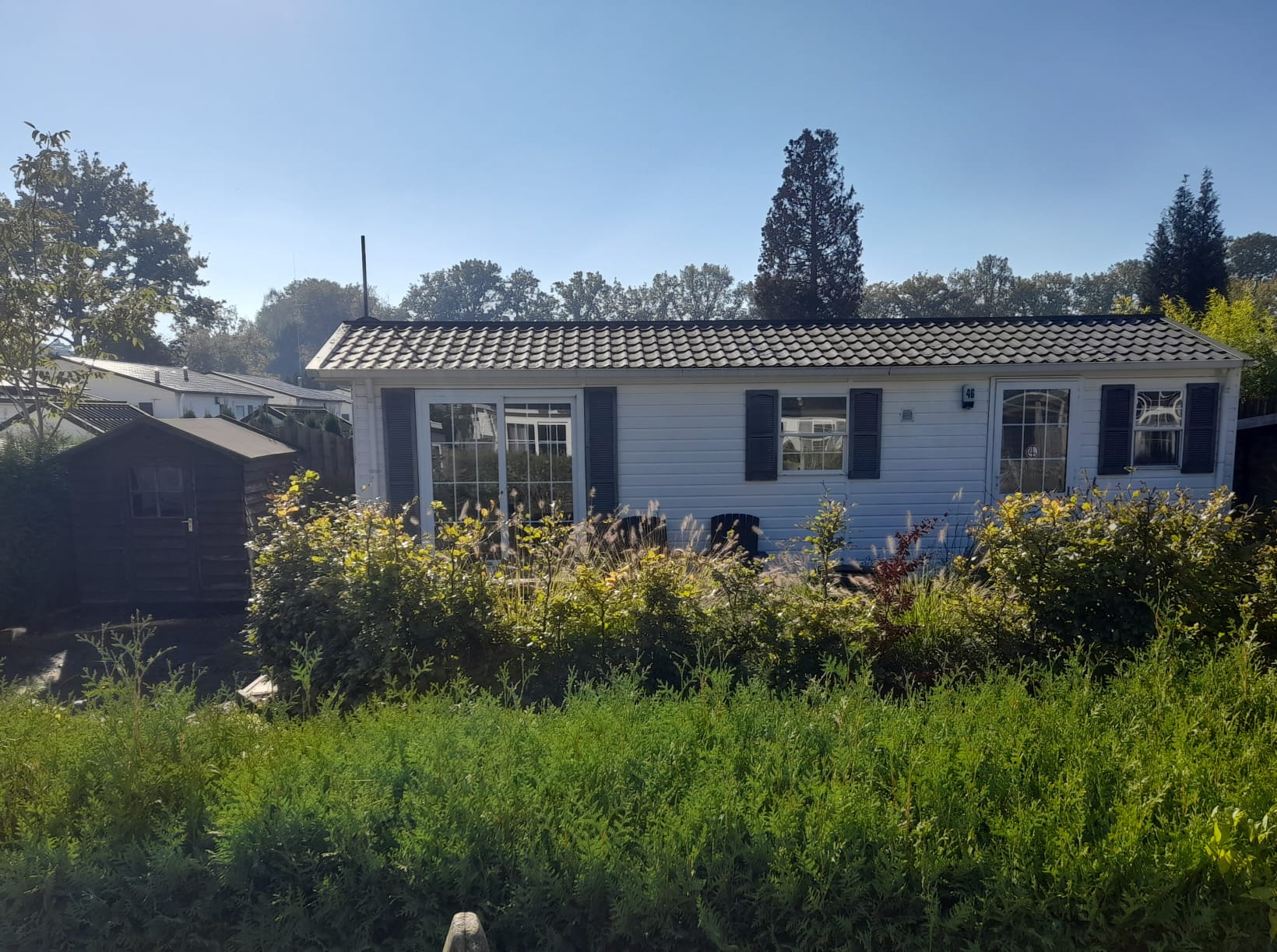 Photo 6 of Oirschotsebaan 13-B46