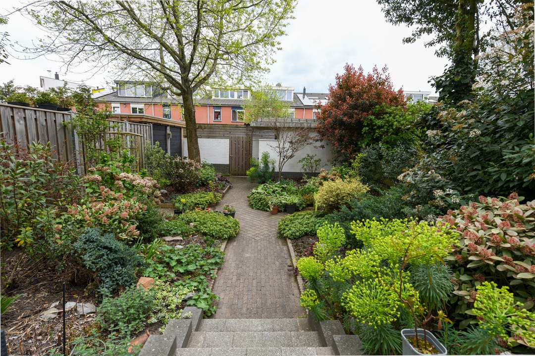 Foto 28 van De Rode Leeuw 45