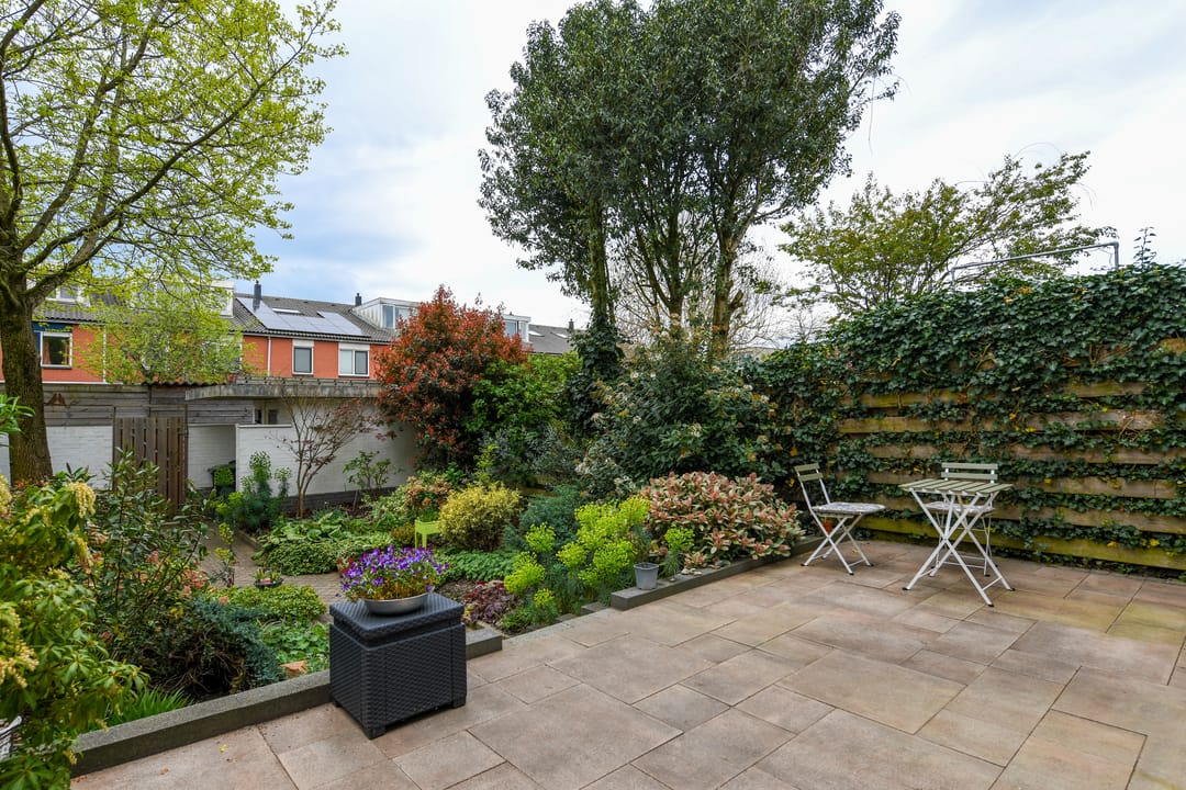 Foto 2 van De Rode Leeuw 45