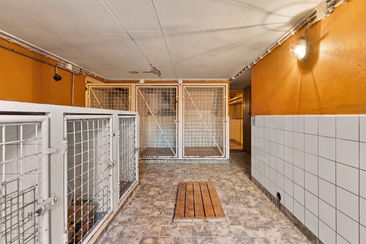 Foto 74 van Pater Brugmanstraat 18