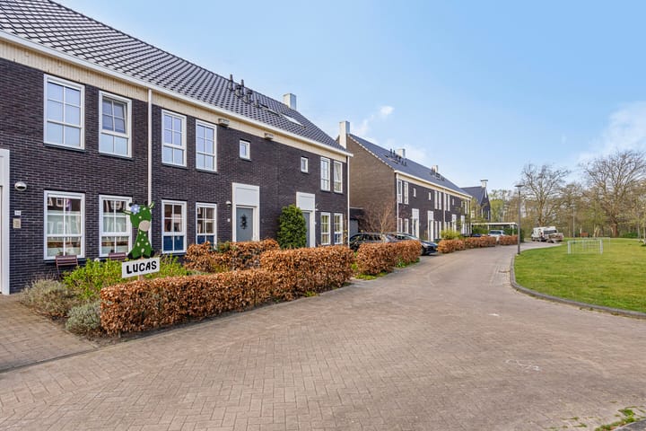 Foto 6 van Vlamhoed 12