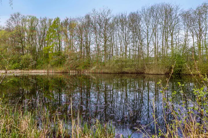 Foto 31 van Vlamhoed 12