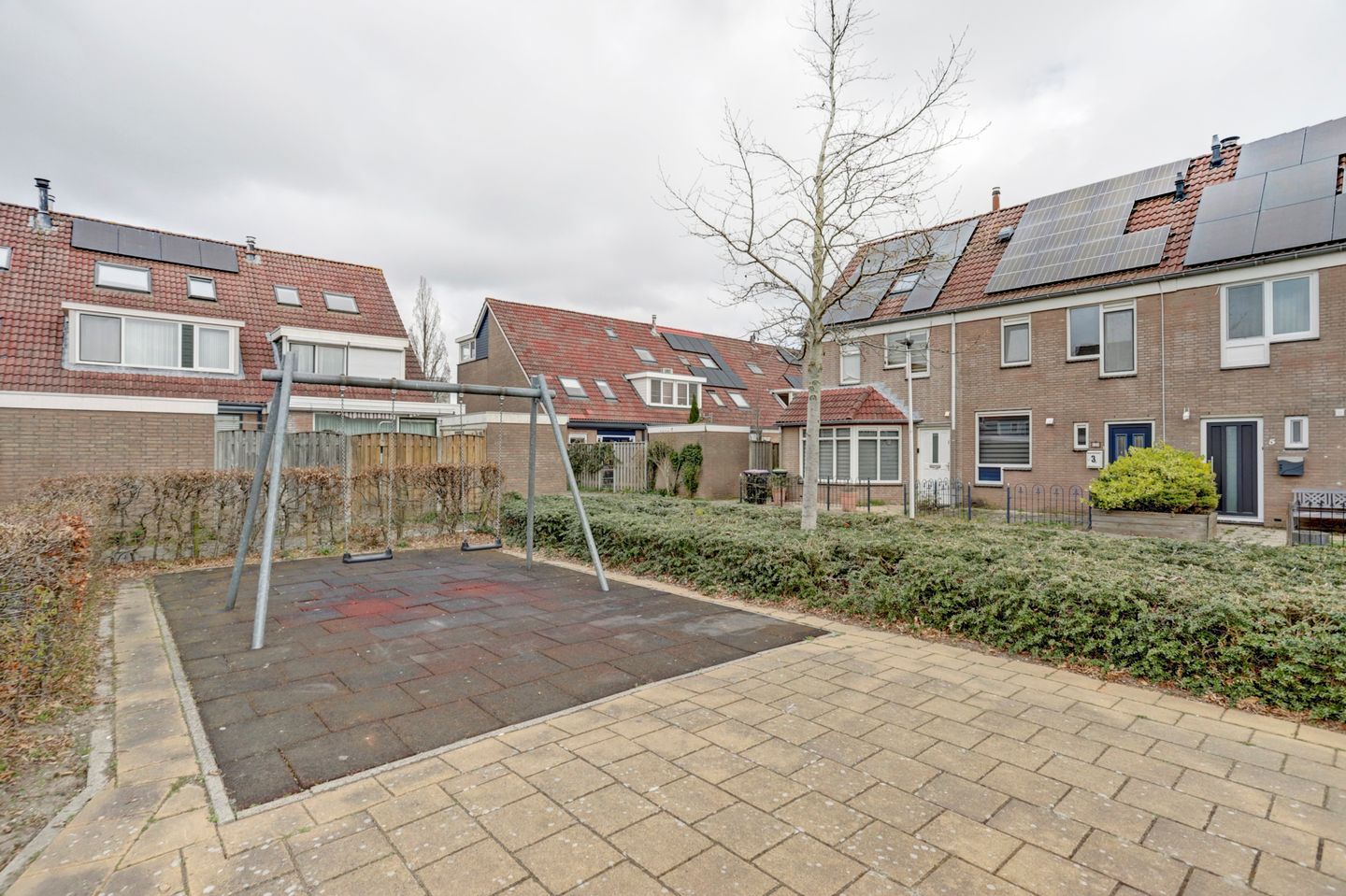 Foto 10 van Buntgras 97