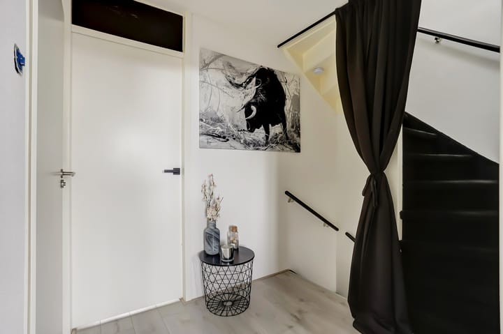 Foto 22 van Buntgras 97