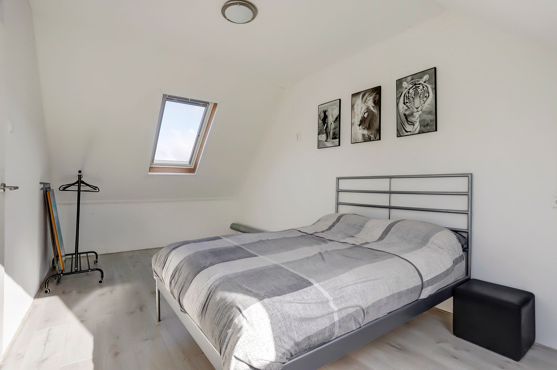 Foto 33 van Buntgras 97