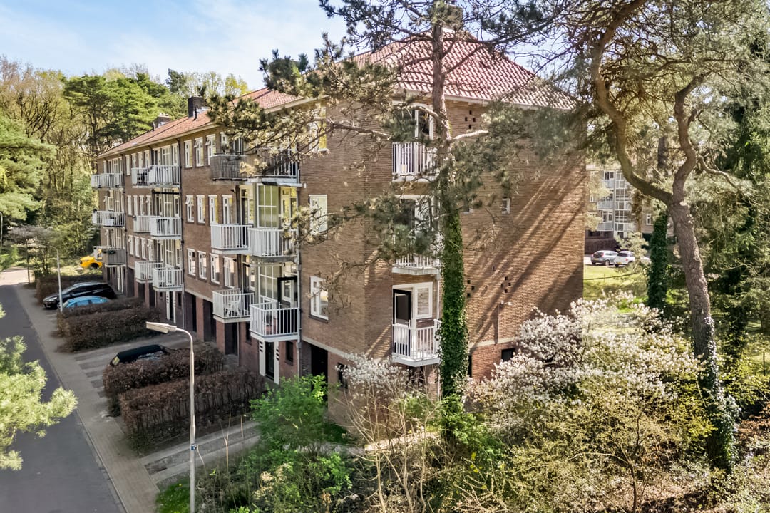 Foto 1 van Kappeyne van de Coppellolaan 66-A