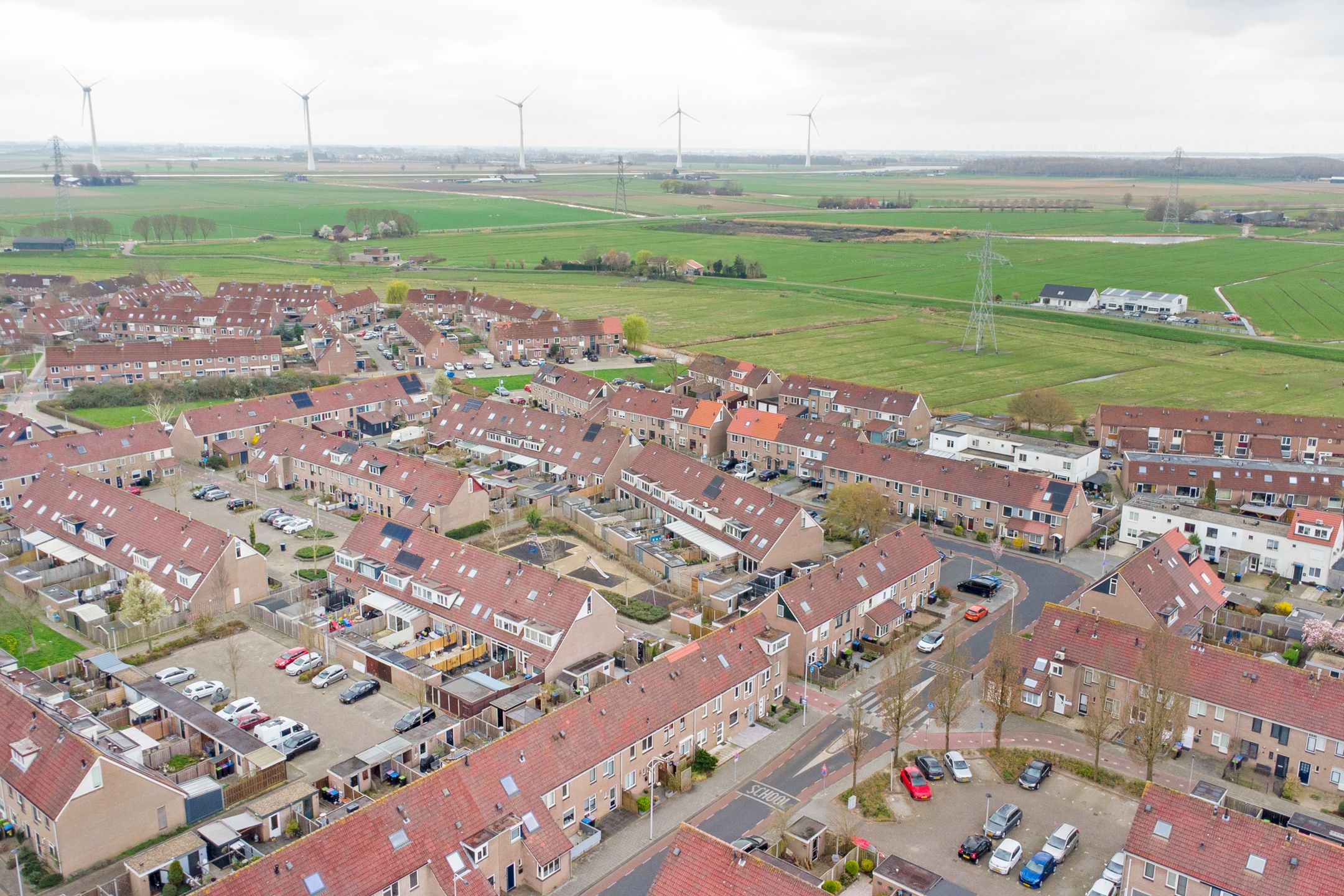 Foto 42 van Buntgras 97