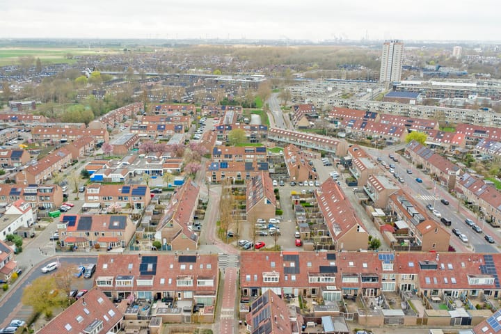 Foto 43 van Buntgras 97