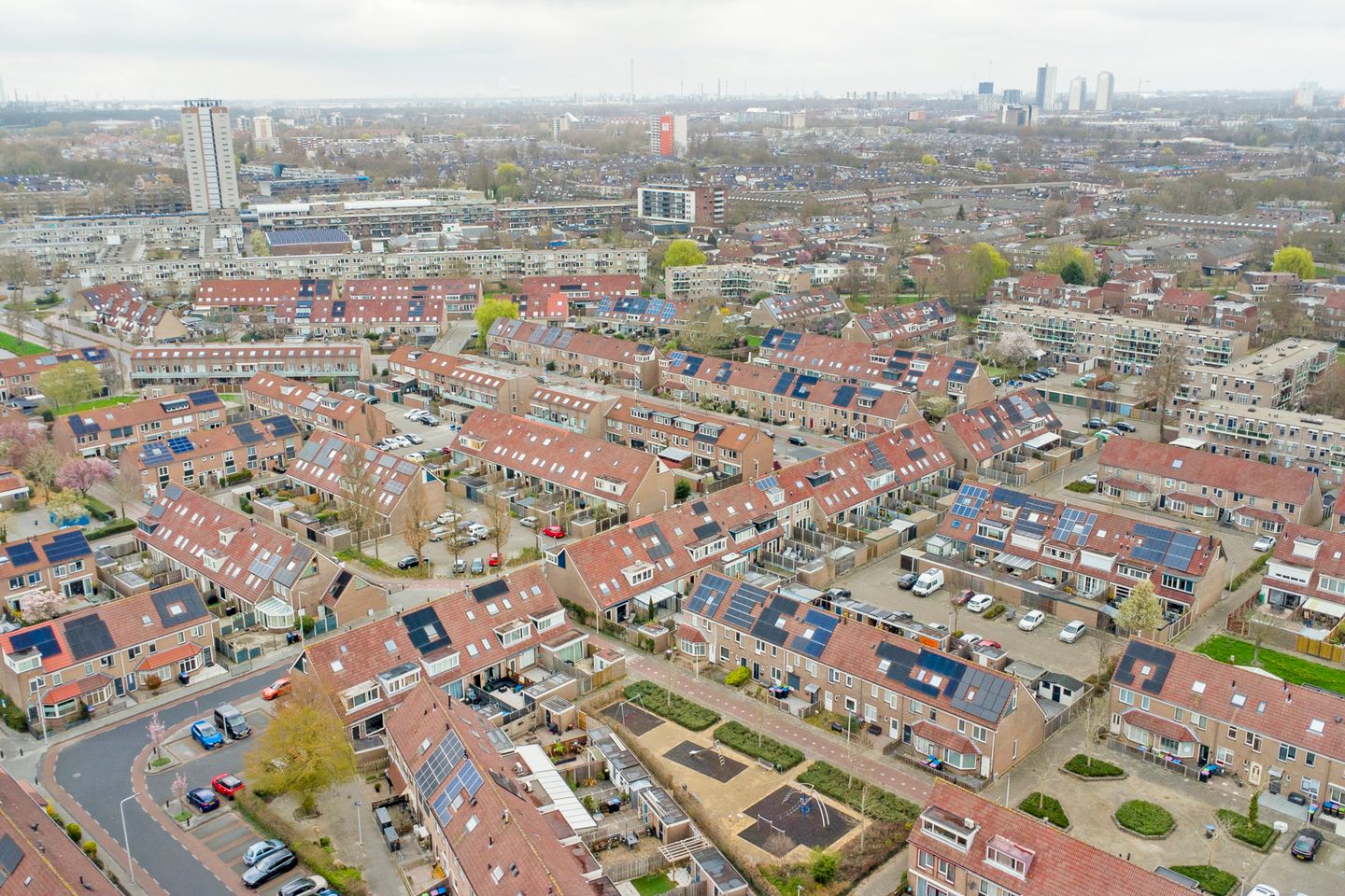 Foto 44 van Buntgras 97