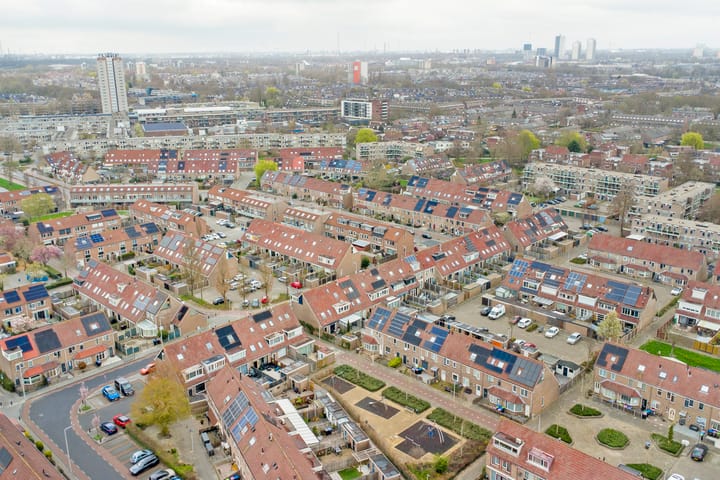 Foto 44 van Buntgras 97