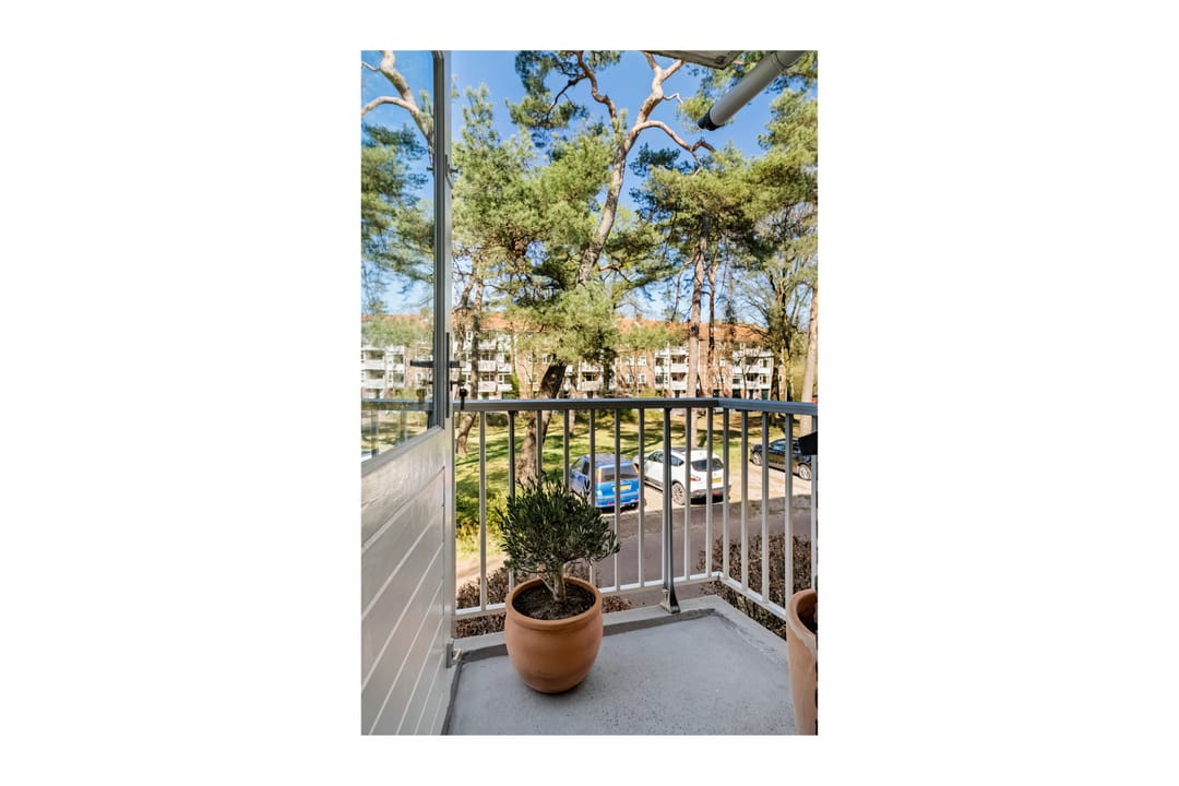 Foto 17 van Kappeyne van de Coppellolaan 66-A