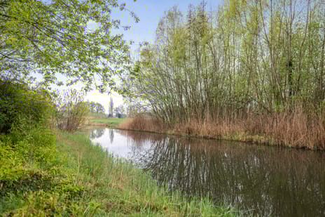 Langs de Wetering 9 secondary image