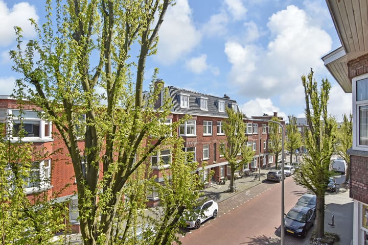 Photo 12 of Stuyvesantstraat 232