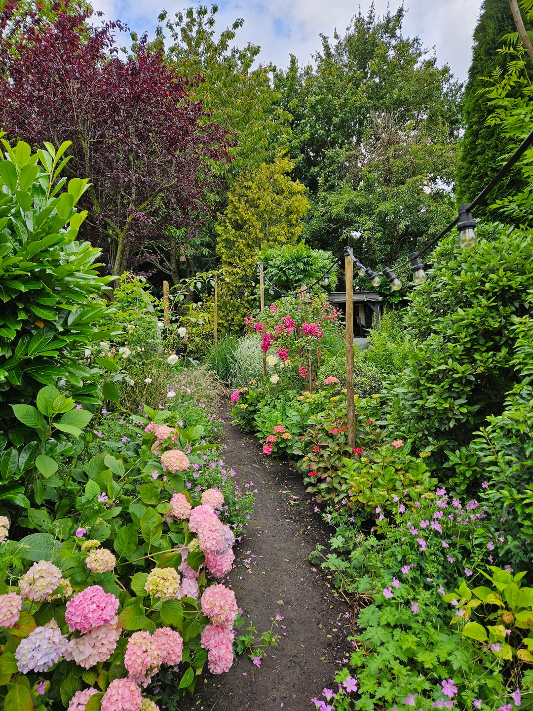 Foto 38 van Sleeuwijksedijk 5-A