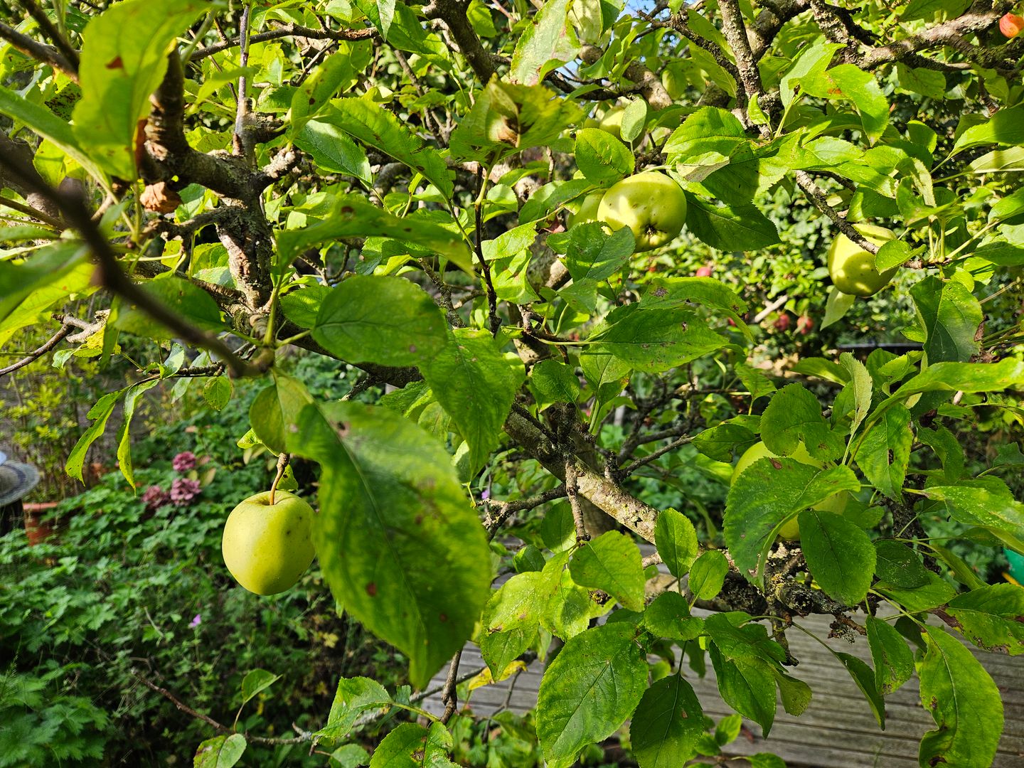 Foto 44 van Sleeuwijksedijk 5-A