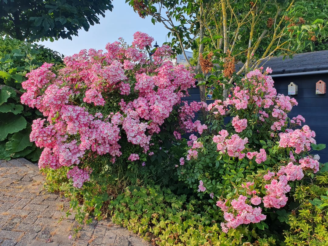 Foto 47 van Sleeuwijksedijk 5-A