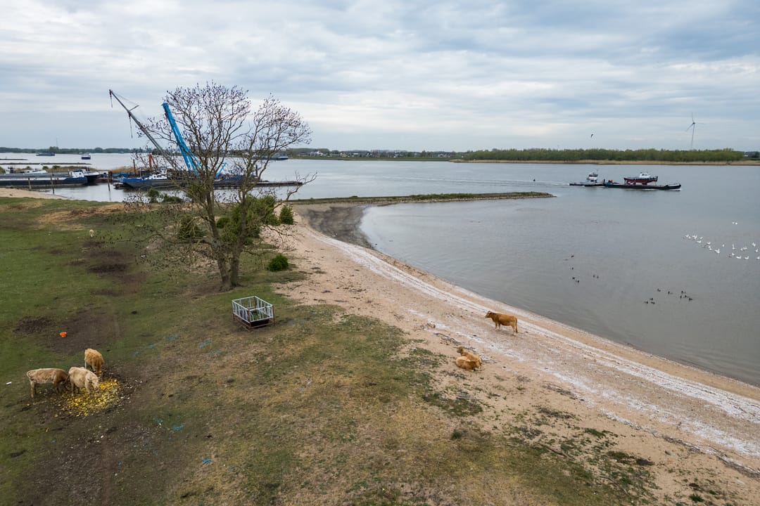 Foto 53 van Sleeuwijksedijk 5-A