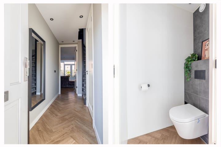 Photo 6 of Hondsdraf 6