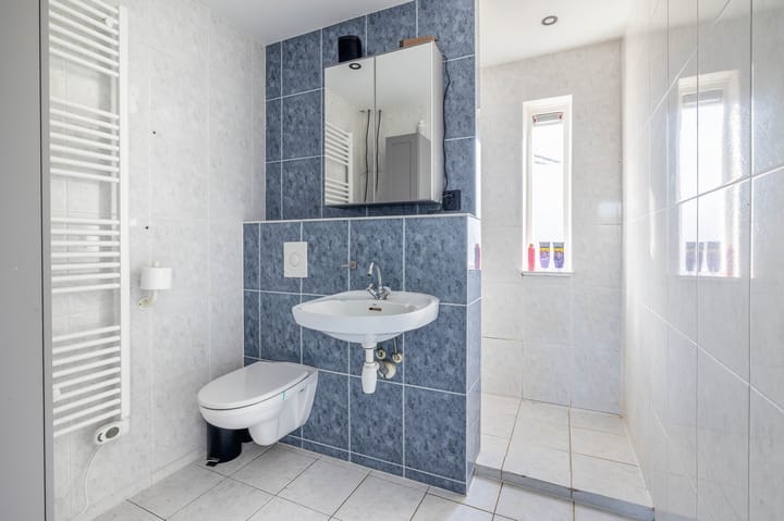 Photo 17 of Hondsdraf 6