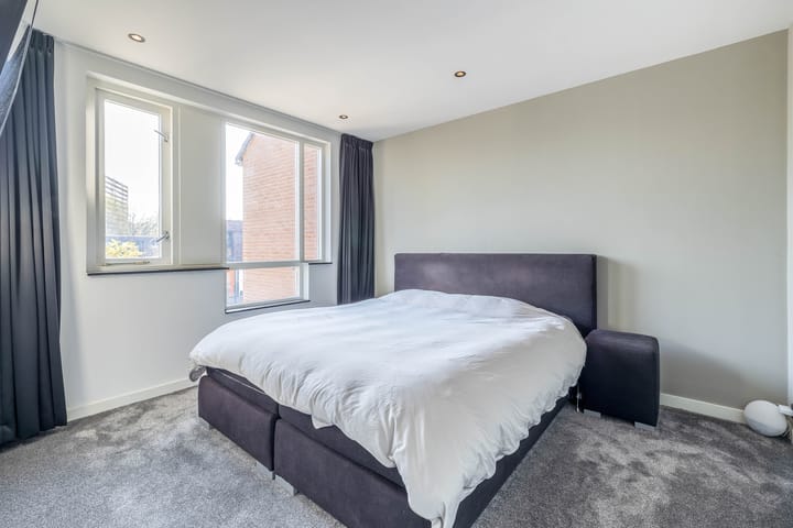 Photo 19 of Hondsdraf 6