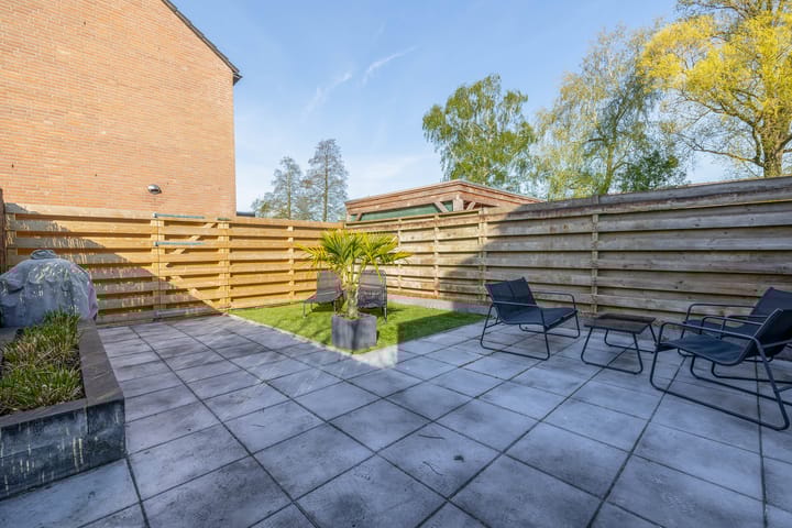 Photo 28 of Hondsdraf 6