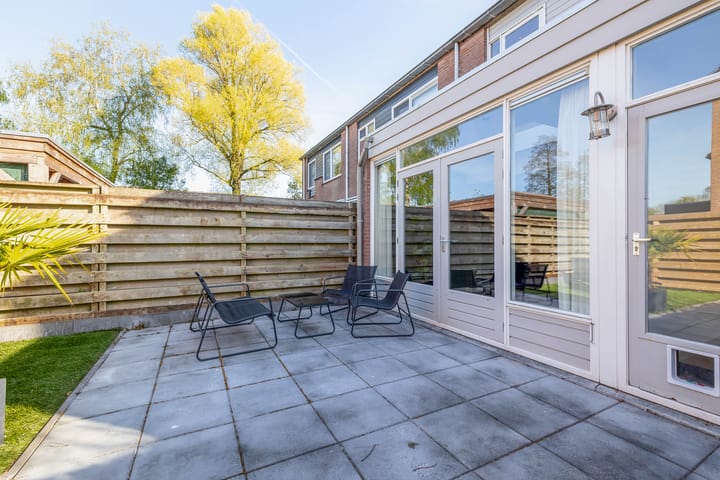 Photo 29 of Hondsdraf 6