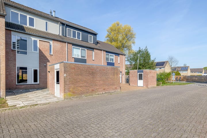 Photo 32 of Hondsdraf 6