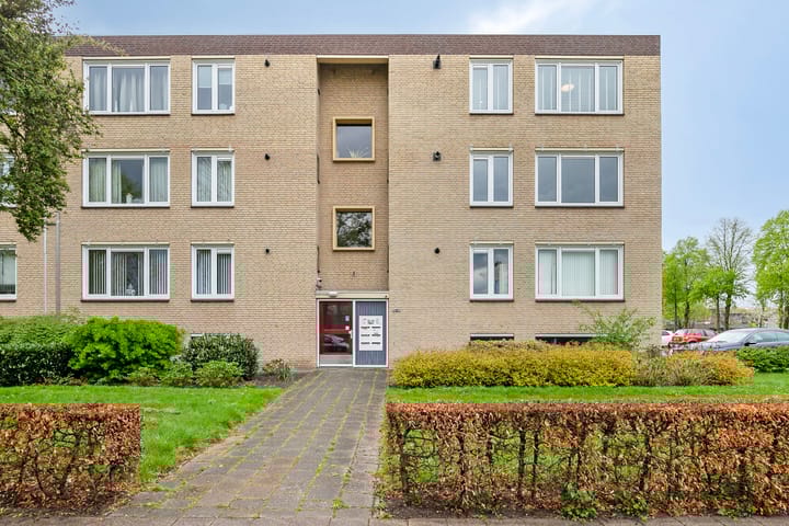 Foto 33 van Thornstraat 41